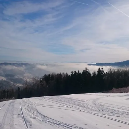 Vakantiehuis Golaskowa